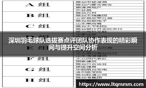 深圳羽毛球队选拔赛点评团队协作表现的精彩瞬间与提升空间分析